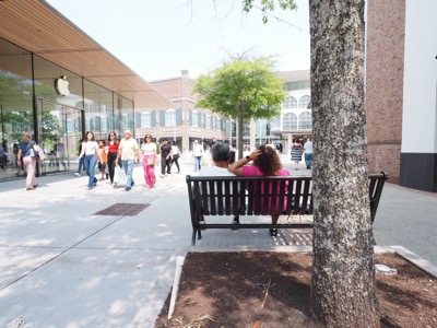 Bench Sitting photograph 5